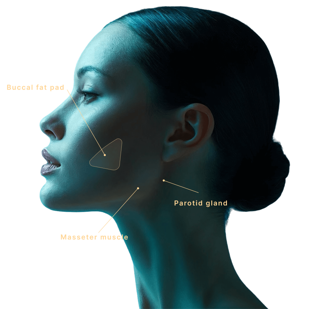Buccal Fat Removal